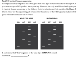 Sanger sequencing
